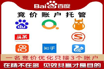百度竞价排名策略解析：一家公司的广告投放策略全揭秘